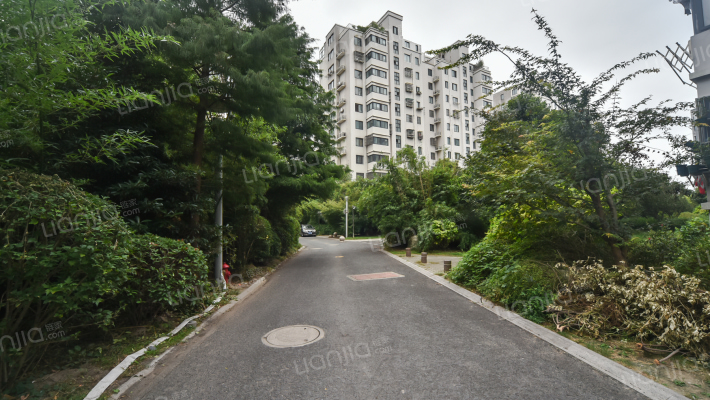 新港明珠外景图