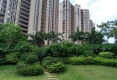 绿地海森林29