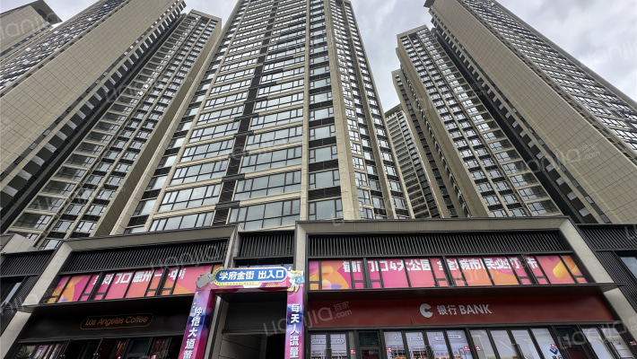 星河冠誉府外景图