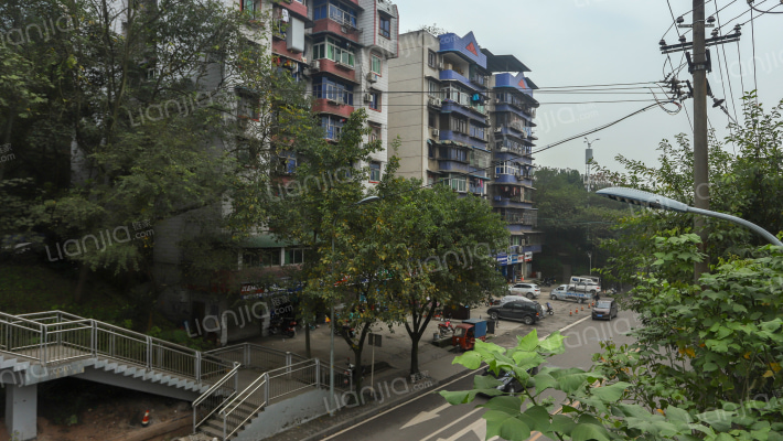 毛背沱181号外景图