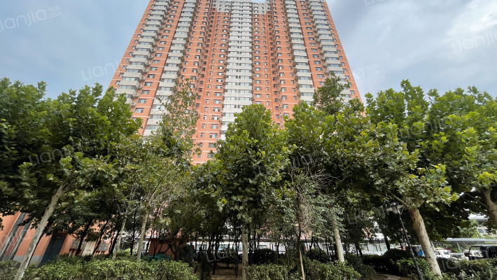 蓝天金地外景图