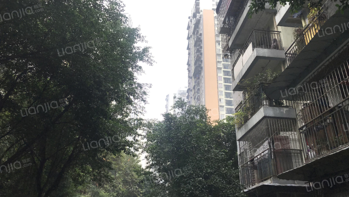 金秋家园外景图