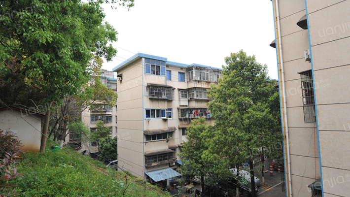 蒋家垅社区外景图