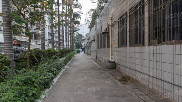 厦门金鸡亭小区管理办公室外景图