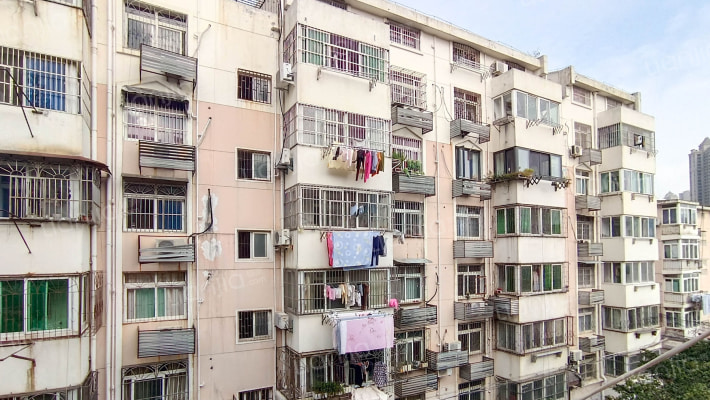 明光路536大院外景图