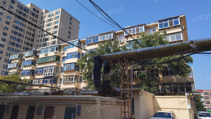 新华区政府外景图