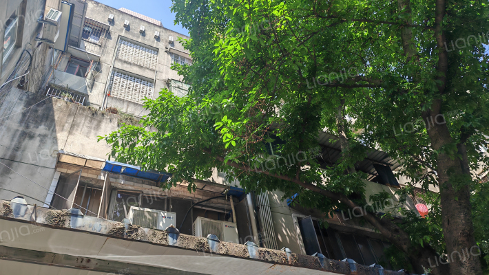 东街15号外景图