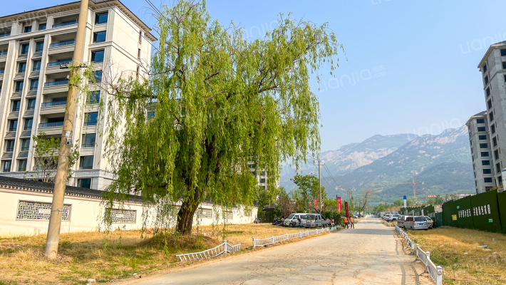 绿城·桃李春风外景图