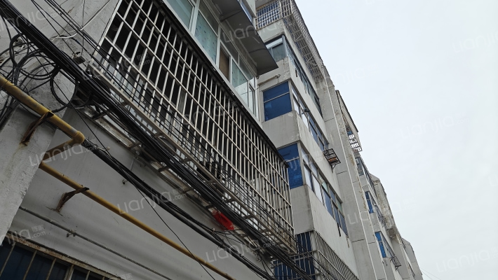 棉麻富丽外景图