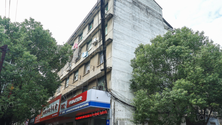 光明路369号外景图