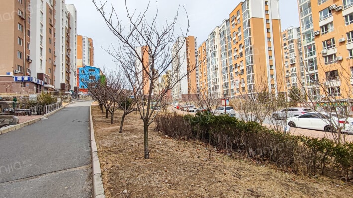 锦联樱花园外景图