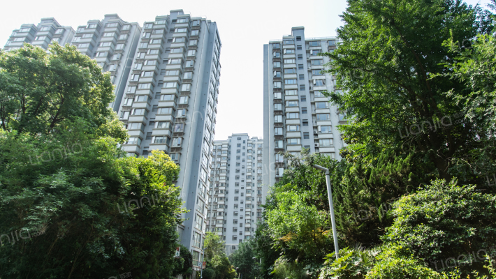 中洋现代城外景图