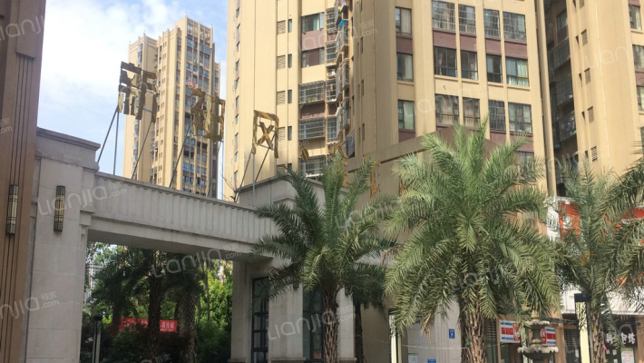 新神风金牛座外景图