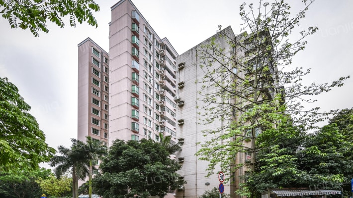 新桂花村外景图