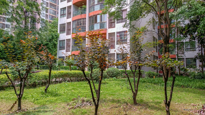 东福宏洲外景图