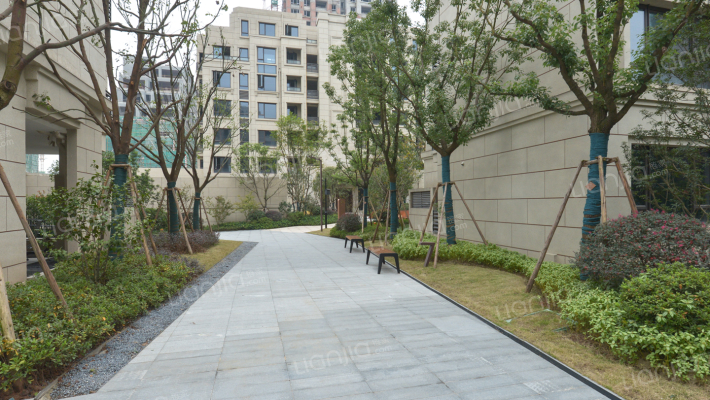 鲁能泰山7号八街区外景图