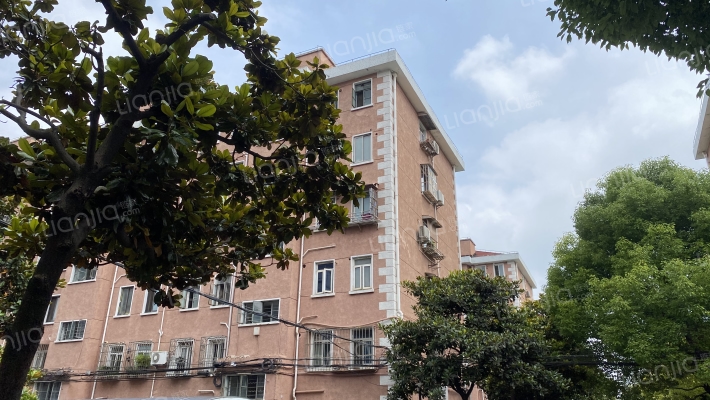 古美西路316弄外景图