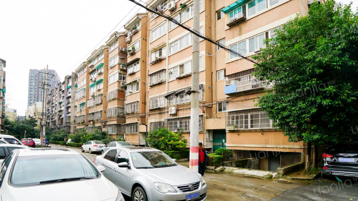 东井村41号外景图