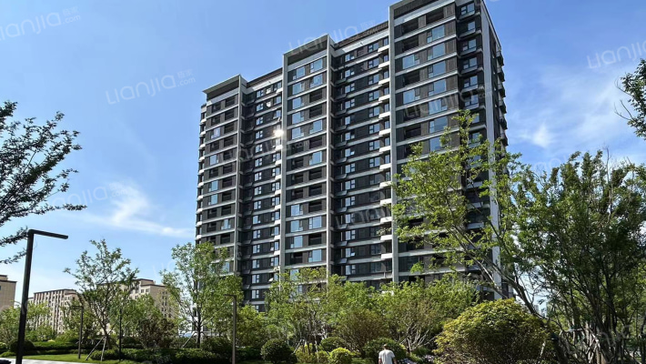 龙湖春江天玺外景图