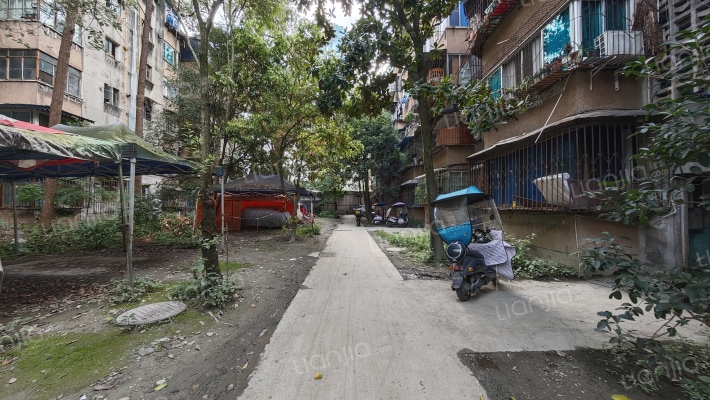 涤纶厂家属院外景图