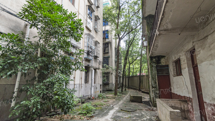 化肥厂小区外景图