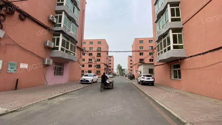 金桔花苑外景图