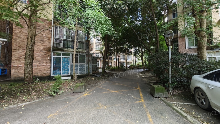 银城花树间外景图