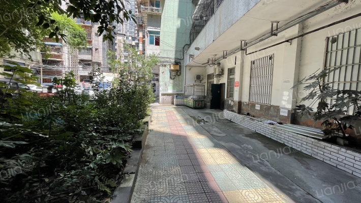 青禾街81号外景图