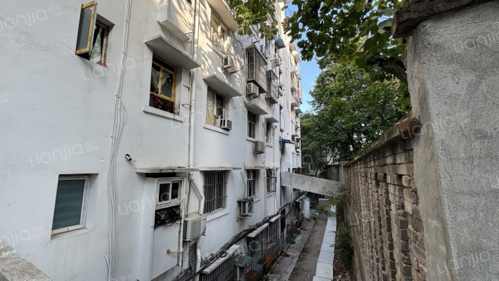 柏树林83号外景图