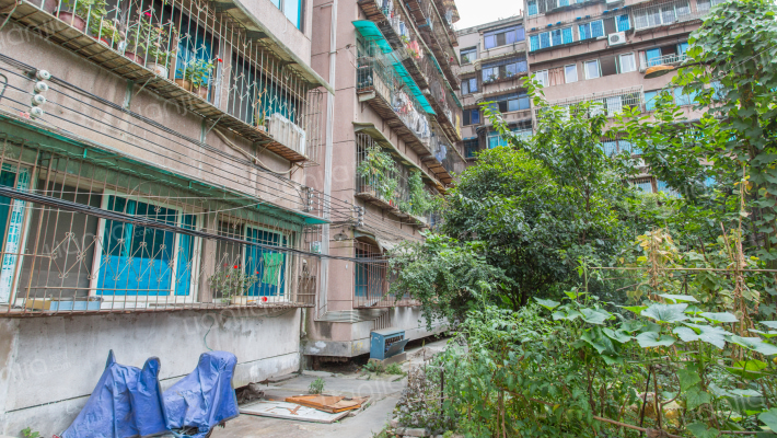 省统计局宿舍平安院落外景图