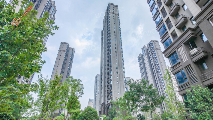 城泰枫华天成外景图