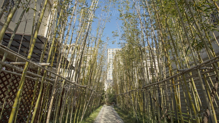 阳光城愉景湾外景图