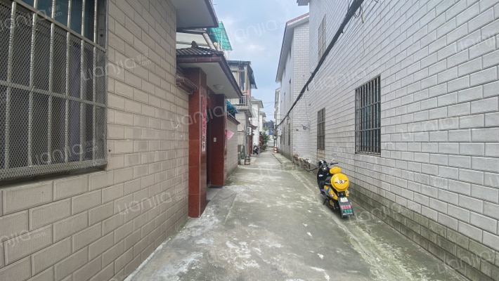 洪泾里北外景图