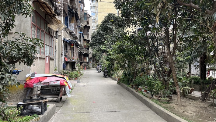 红花社区外景图