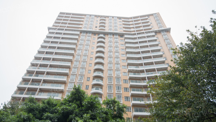 龙津花园外景图