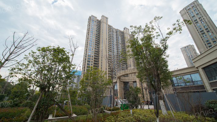 众安朝阳8号外景图