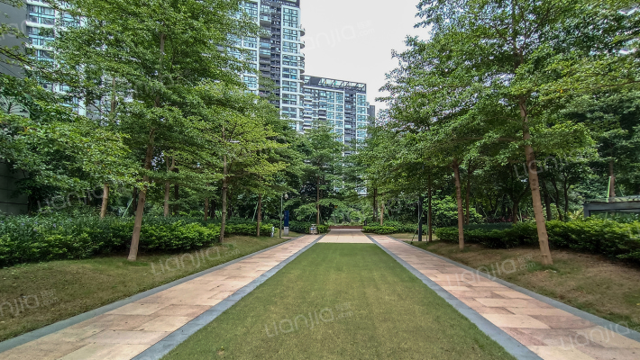 中信红树湾南区外景图