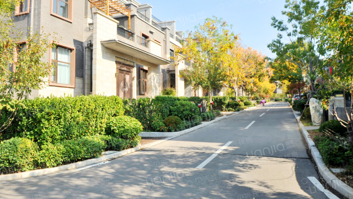 金科桃花源外景图