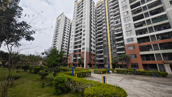 南山侨苑外景图