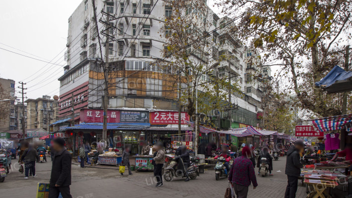 团结路6号外景图