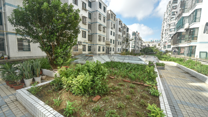 丽都怡园外景图