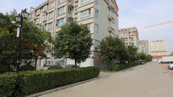 东白羊埠外景图