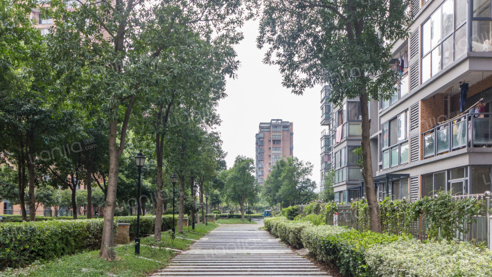 唯美花园外景图