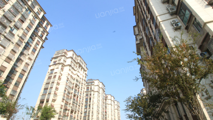 仙湖花园外景图