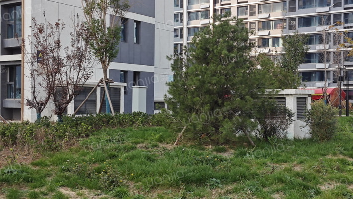 郄马梨花苑外景图