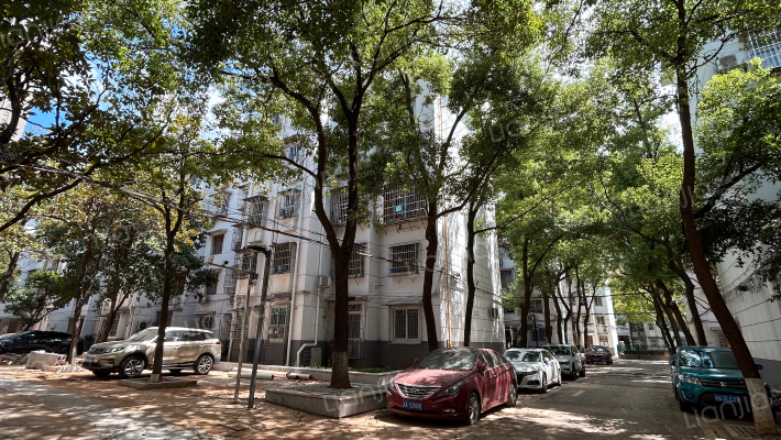 赤岗村军干所外景图