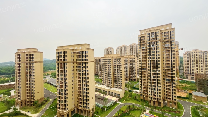 新长江林肯国际城外景图