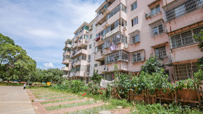 兴国路七二O厂外景图