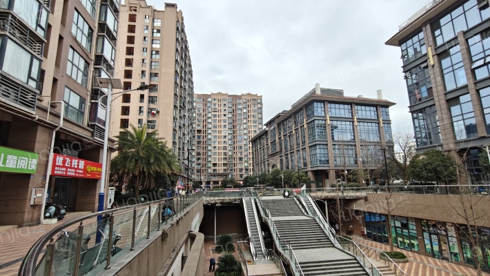 金楠缤纷外景图