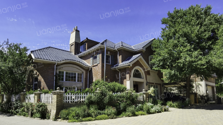 MOMA万万树外景图